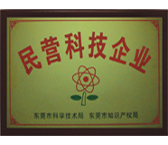 民营科技企业